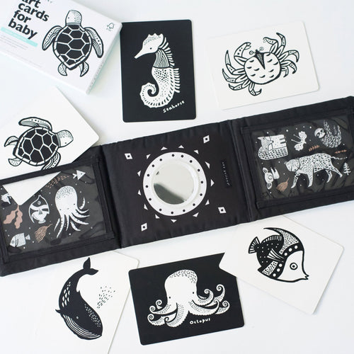 Baby Tummy Time Gallery with Mirror Gift Set - Cultr. by Created for Culture asianowned aapimarketplace asianownedkids asianownedkidsproducts asianownedbrands