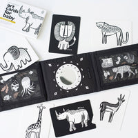 Baby Tummy Time Gallery with Mirror Gift Set - Cultr. by Created for Culture asianowned aapimarketplace asianownedkids asianownedkidsproducts asianownedbrands