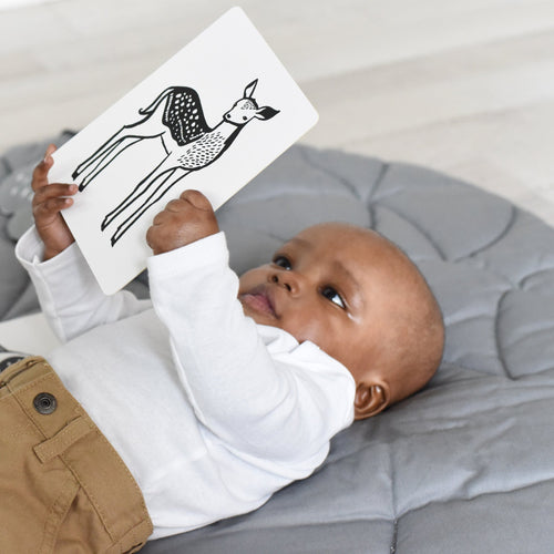 Newborn Baby Gift Set - Baby Animals - Cultr. by Created for Culture asianowned aapimarketplace asianownedkids asianownedkidsproducts asianownedbrands