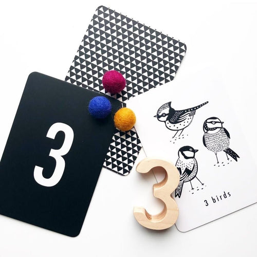 Nature Number Cards - Cultr. by Created for Culture asianowned aapimarketplace asianownedkids asianownedkidsproducts asianownedbrands